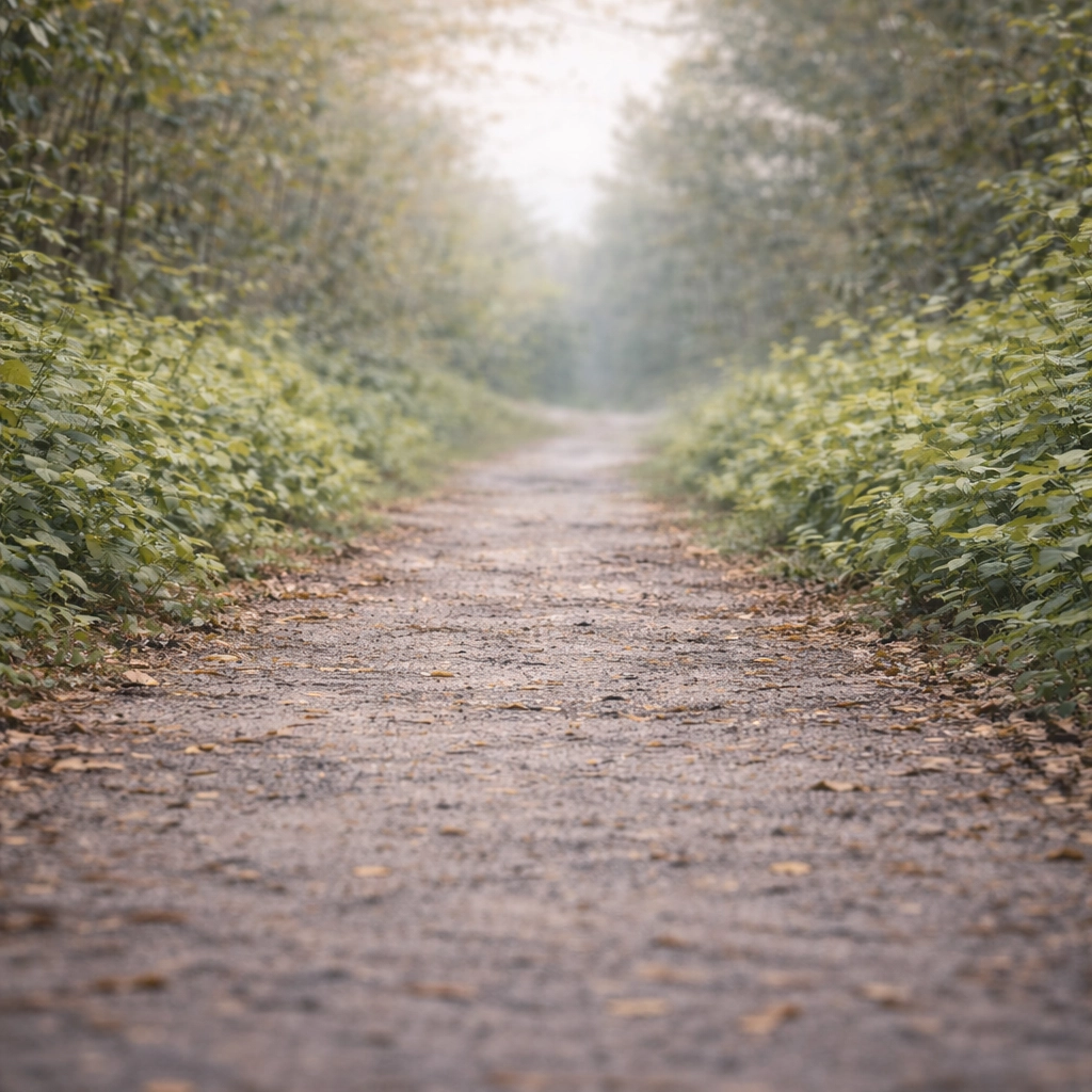 Bospaadje als achtergrond in de footer