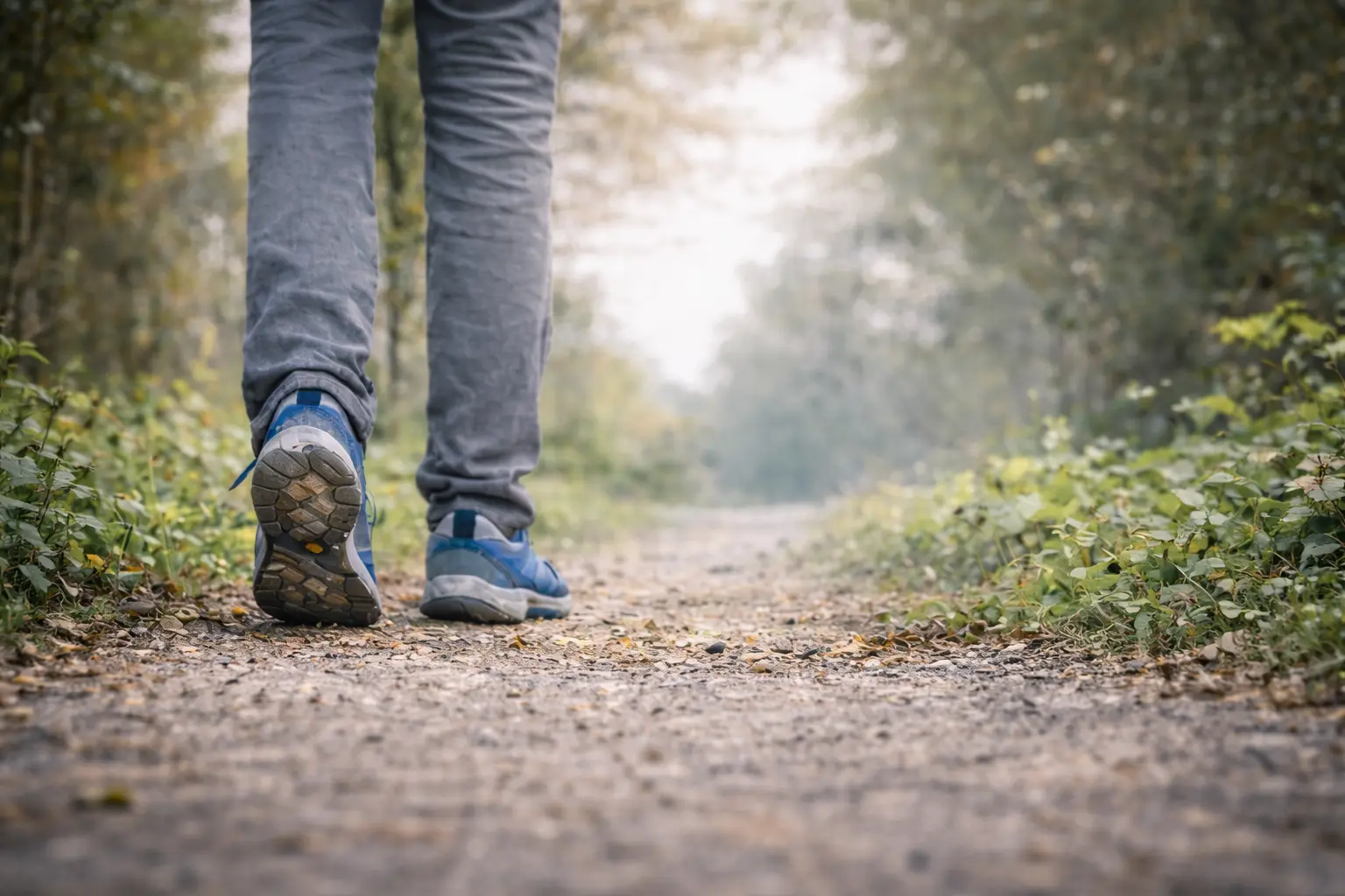 Wandelaar op een bospaadje
